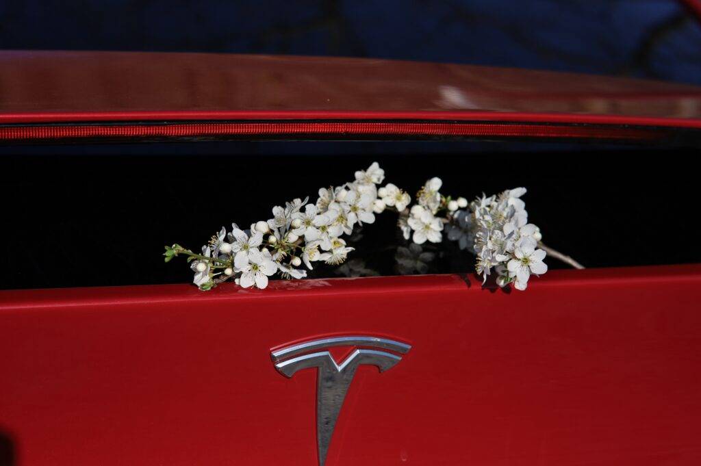 Ein schönes Tesla emblem